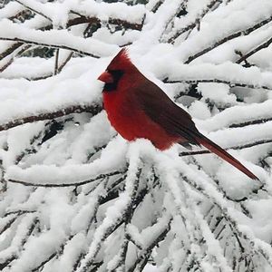 Meet your Posher, Lynn